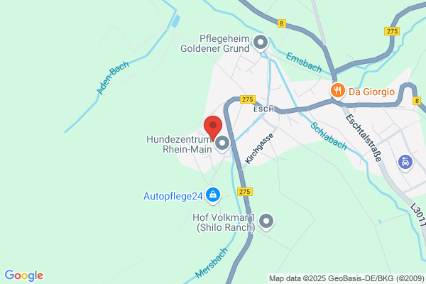 3L Verlag gemeinnützige GmbH