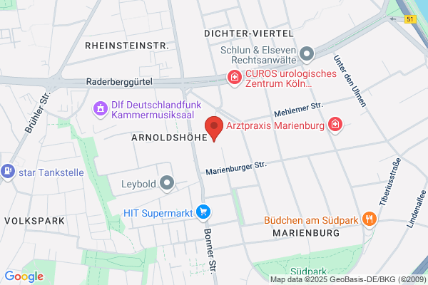 icon GmbH Information Consulting