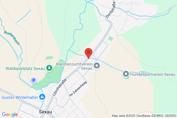 S.I.C.S GmbH