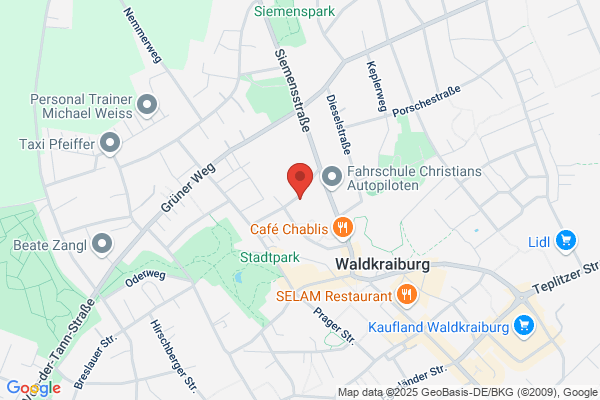 Waltraud Manetstätter