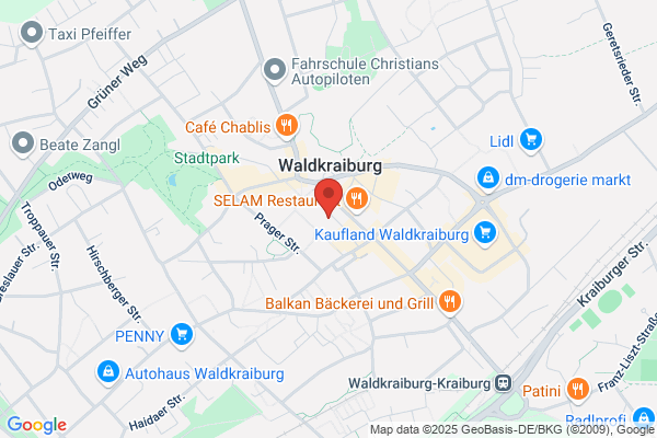 Dr. Dr. Maier, Engleder & Kollegen