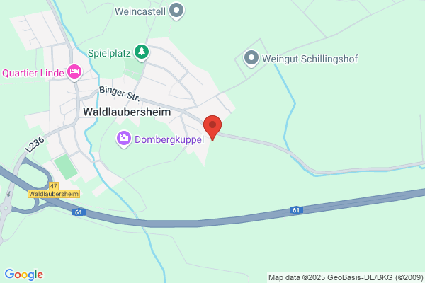 Rüdiger Ring, Elke Ring