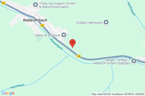 Hermann Hahn