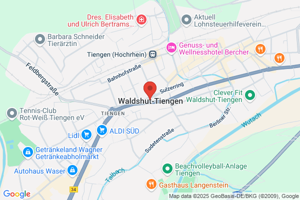 Fassadenrein Waldshut
