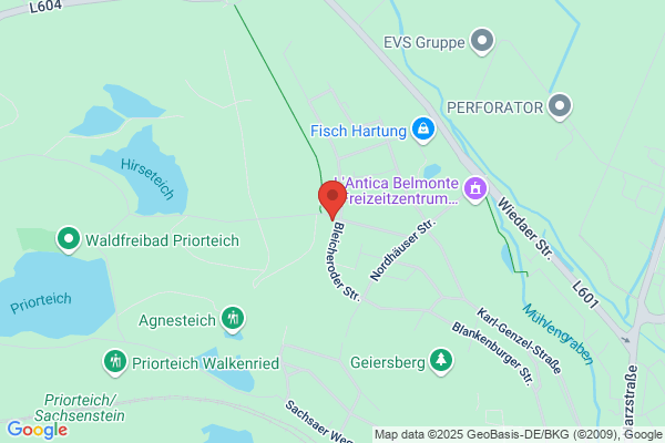 Katja Will