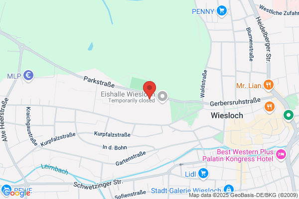 VFB Wiesloch