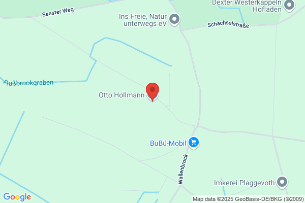 Hollmann
