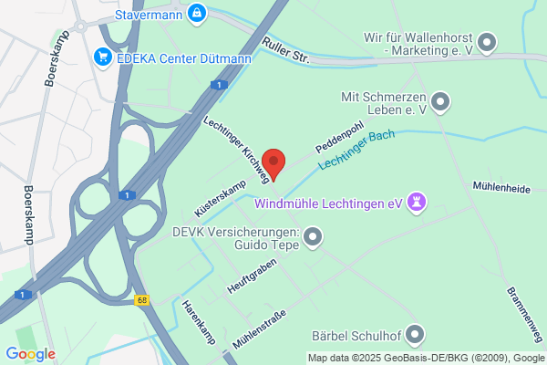 schatztruhenpferde