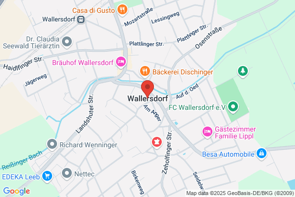Berghammer