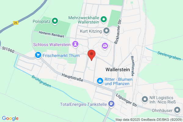 teamcoachingMenschHund