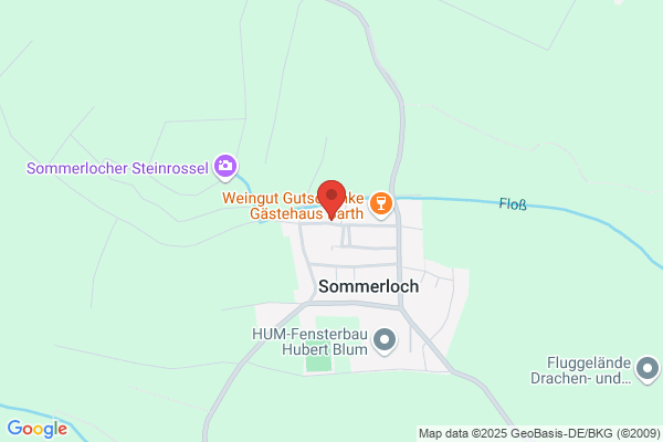 Sportverein Sommerloch 1921 e.V.