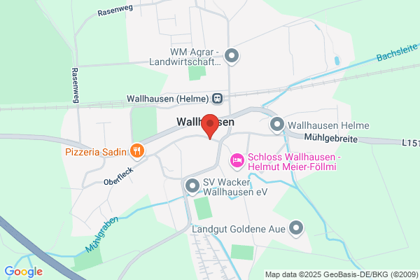 Schnittblumen & Topfpflanzen Handels GmbH Floristik 99