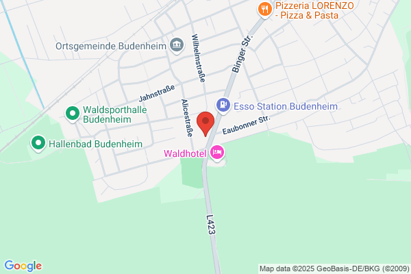 IBS Schnell u. Gröner