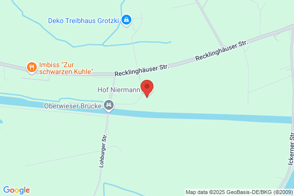 Niermann