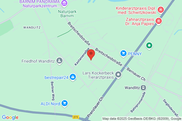 Coiffeur Perücken Losansky