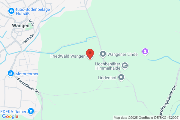 FriedWald Wangen