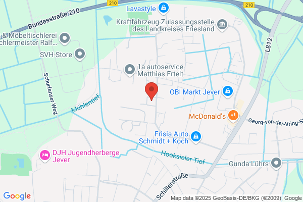 Friesland-Koi