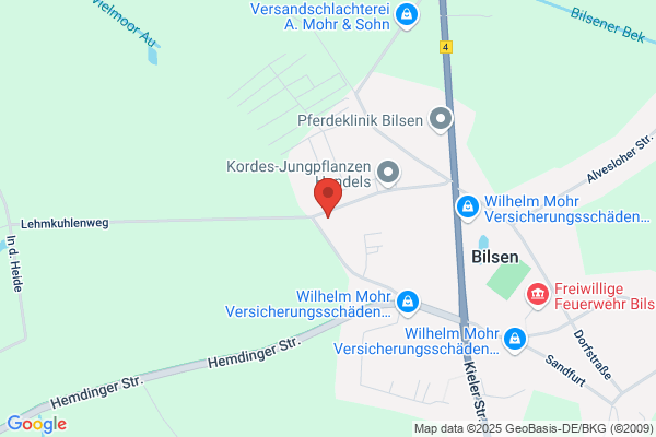 Dienstleistungs Express
