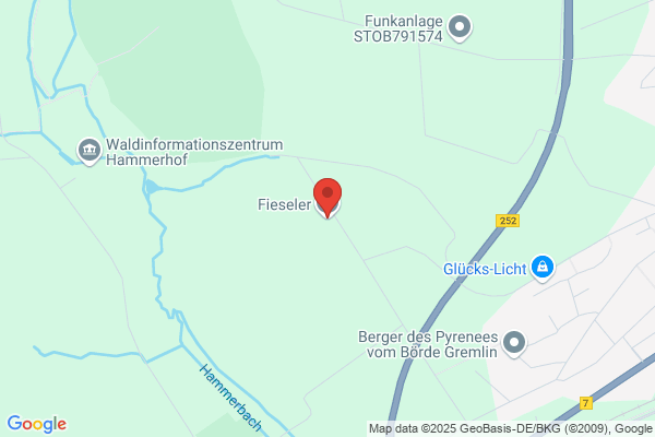 Fieseler