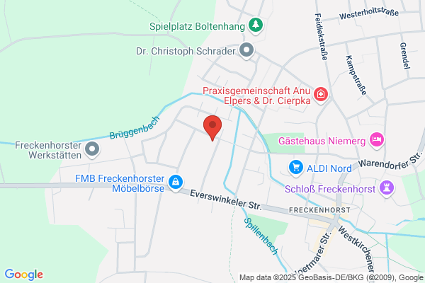 Elektro Schwenzfeier