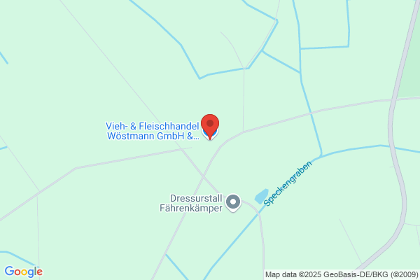 Wöstmann GmbH