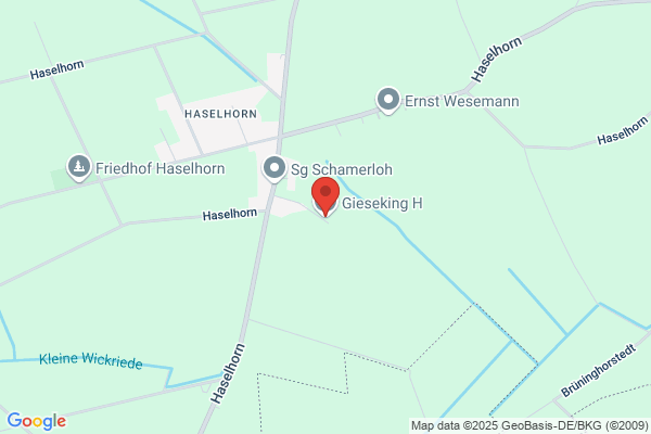 Heinfried Gieseking
