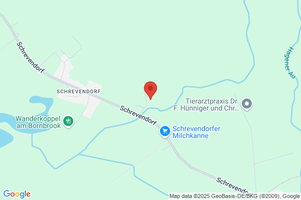 Günter Rave