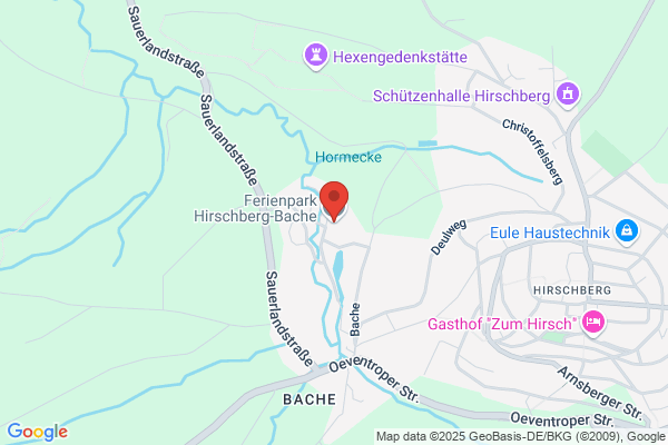 Rüller