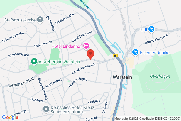 Palmen Immobilien