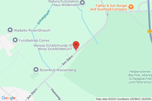 Weiße Schäferhunde of-white-sharonnight