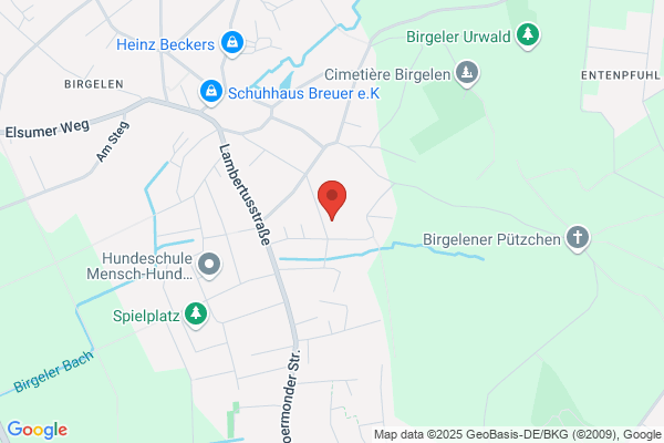 Strauch