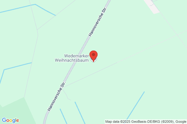Wedemarker Weihnachtsbaum
