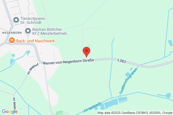 Heinrich Engehausen