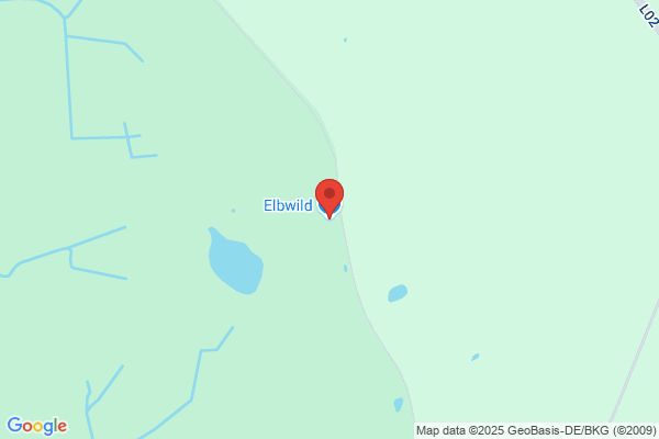 Elbwild