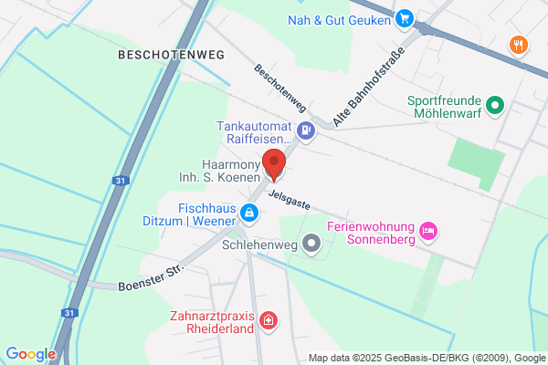 Silvia Koenen