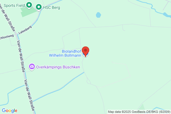 Bollmann