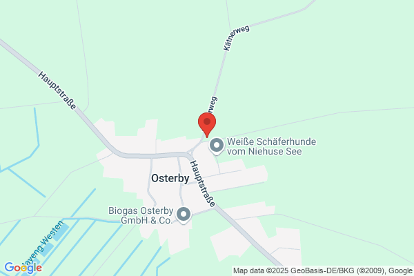 Unternehmensberatung Boenigk