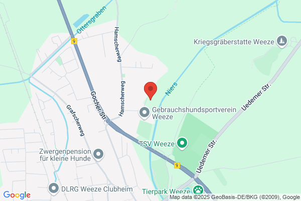 Niersverband