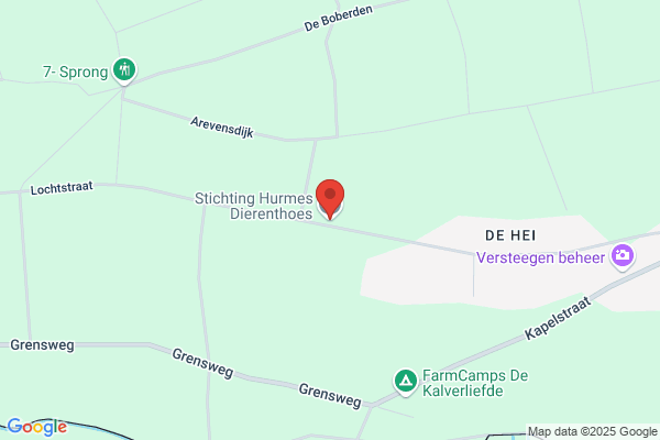 Dierßen Ursula u. Geisenhanslüke Johanna