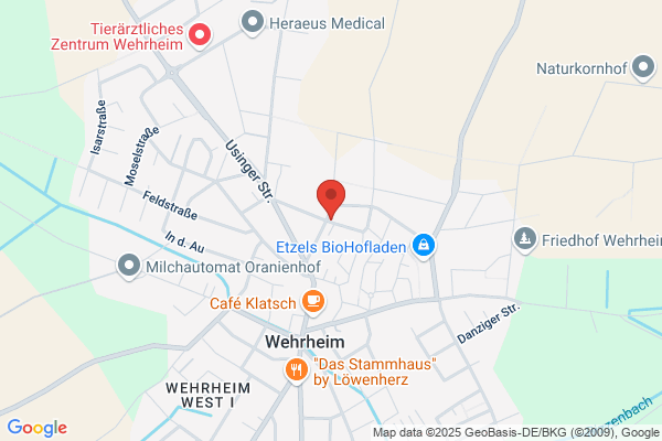 Englisch -Sinn-voll- lernen