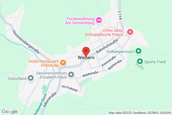 IT-SL IT-Service Linke