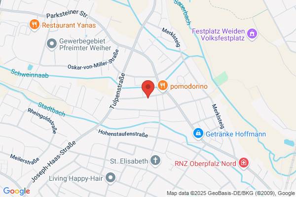 RSE Roland Schieder Electronics