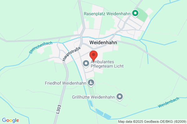 Gisela Fein, Walter Fein