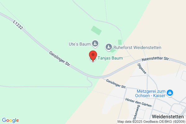 FBg. Altheim-Ballendorf