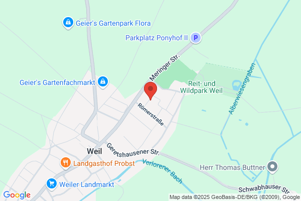 Kinesiologie und mehr
