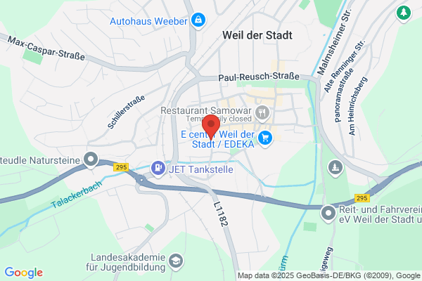PizzaTaxi Weil der Stadt