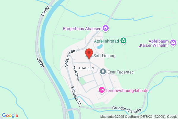 Saft Linjong
