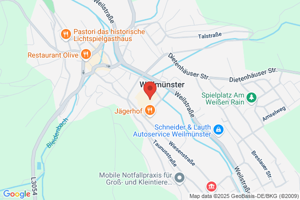 Olaf Stein