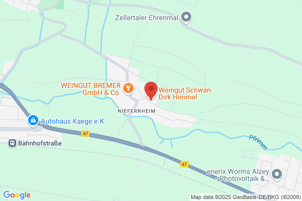 Weißer Schwan
