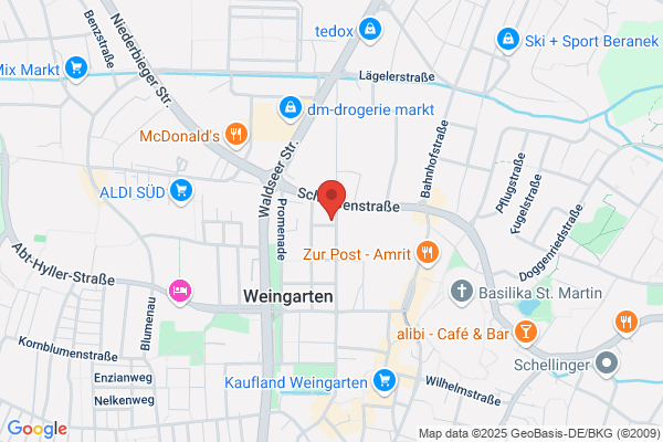 STW, Service Team Weingarten